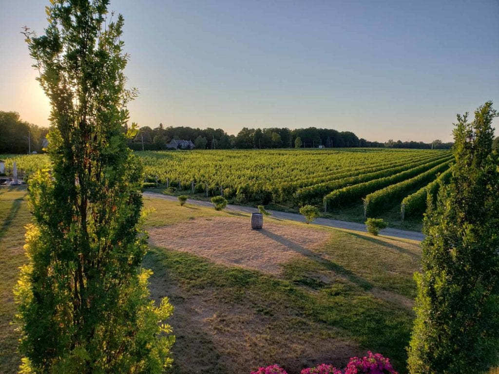 Soirée tapas au Vignoble Rivière du Chêne Cinq Fourchettes