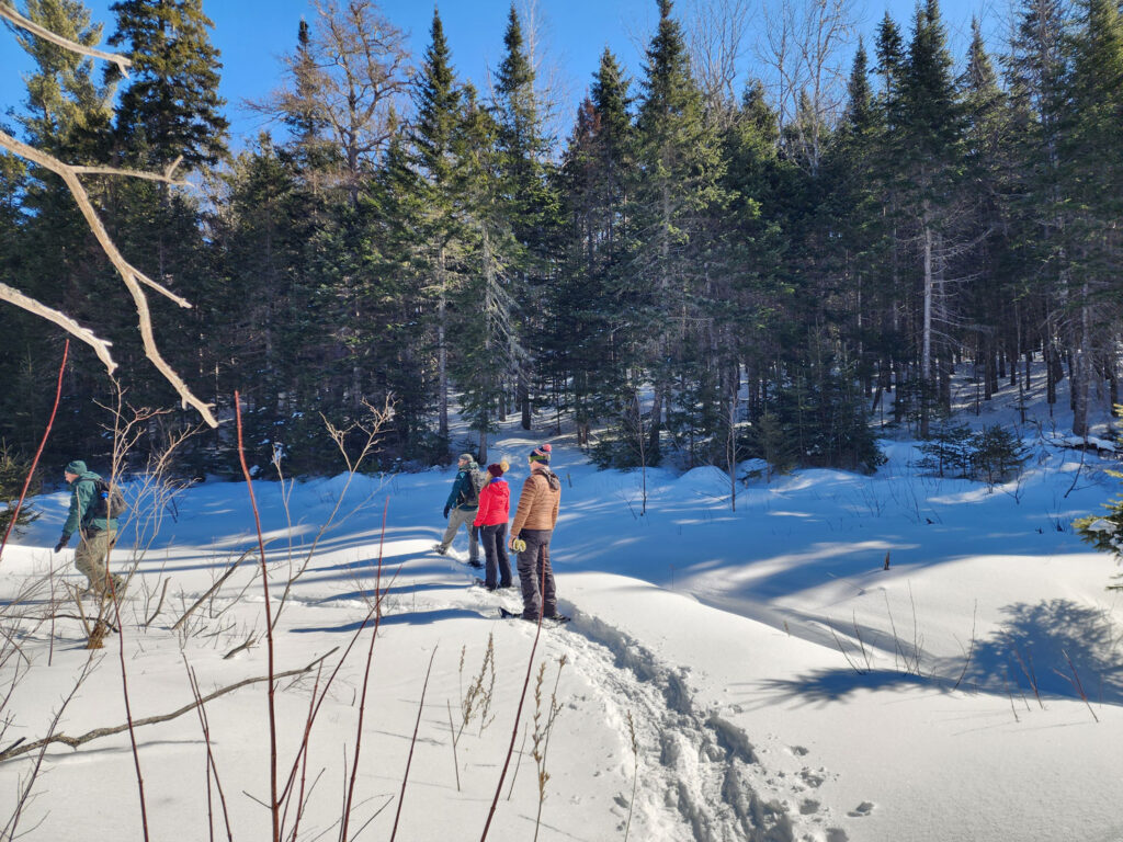 Parc National Kouchibouguac Parcs Canada Nouveau Brunswick Cinq Fourchettes